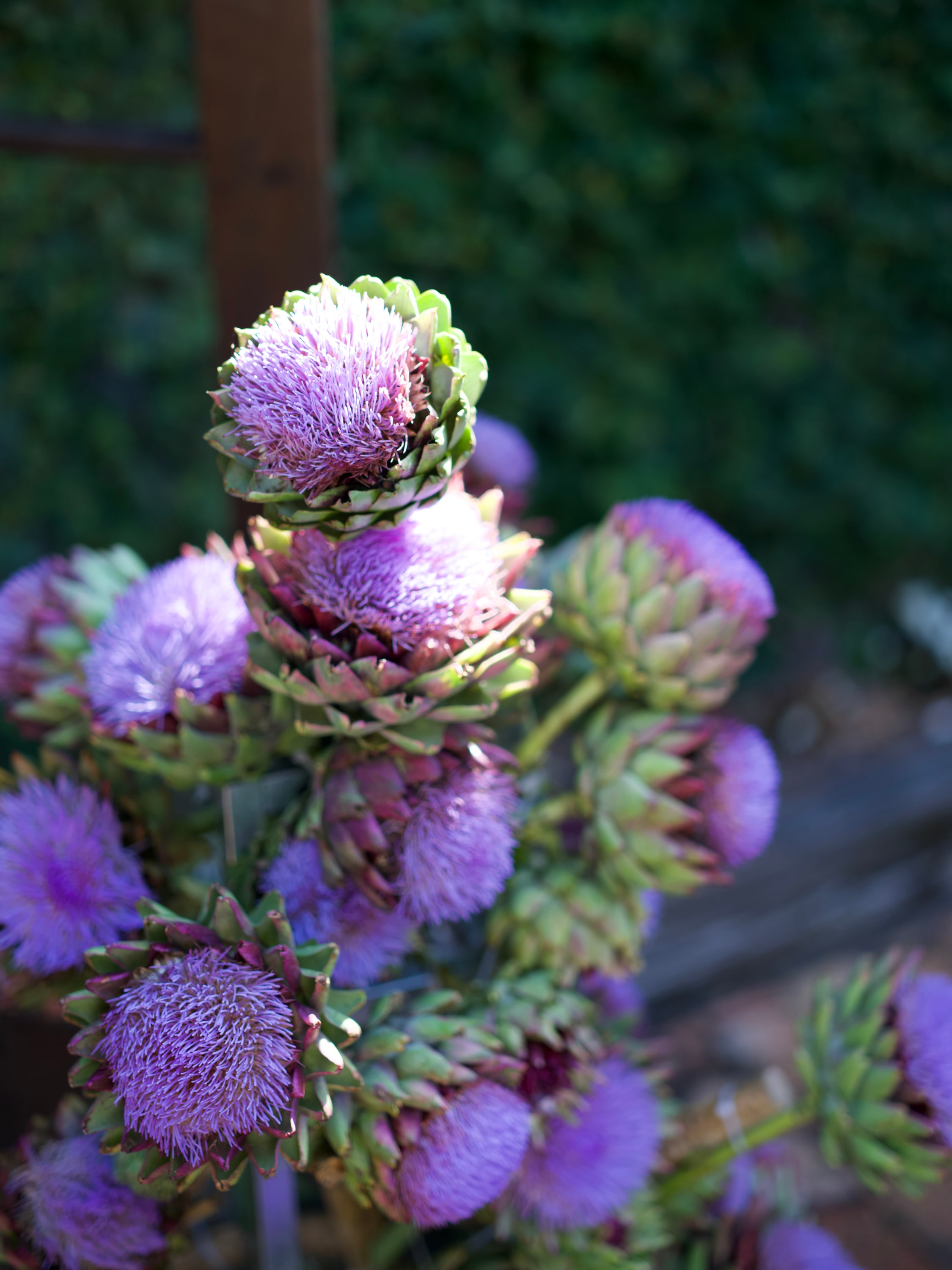 2026-01-05-mudbrick 05