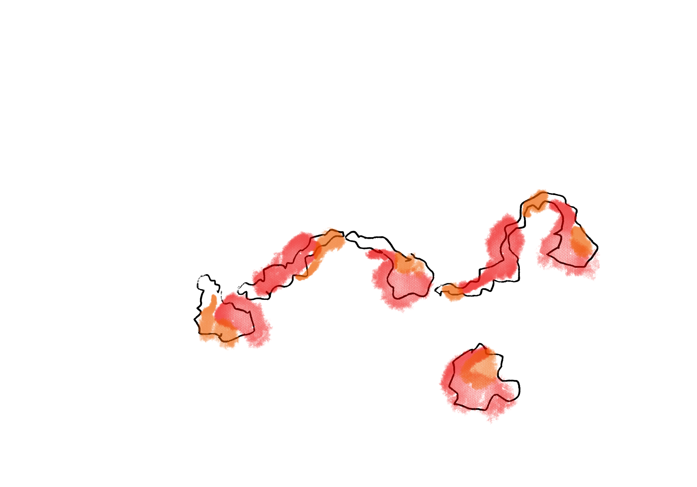 St Matthew floral drawing